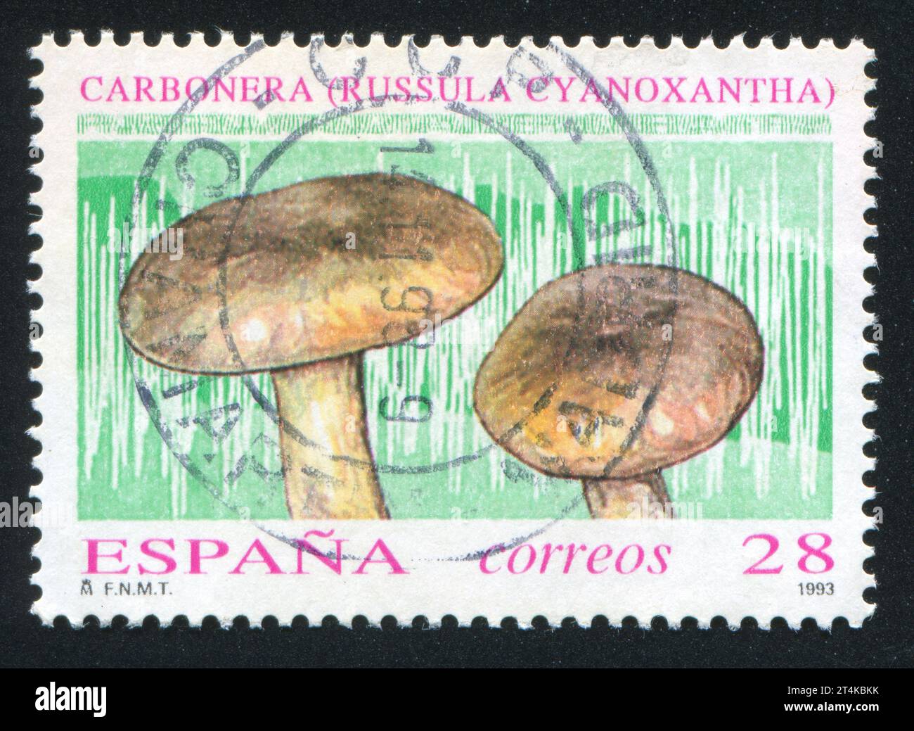 SPAIN - CIRCA 1993: stamp printed by Spain, shows Mushrooms, circa 1993 Stock Photo