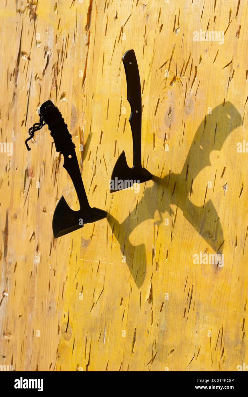 Italy, Lombardy, Historical Reenactment, Small Axe Stuck in a Wood