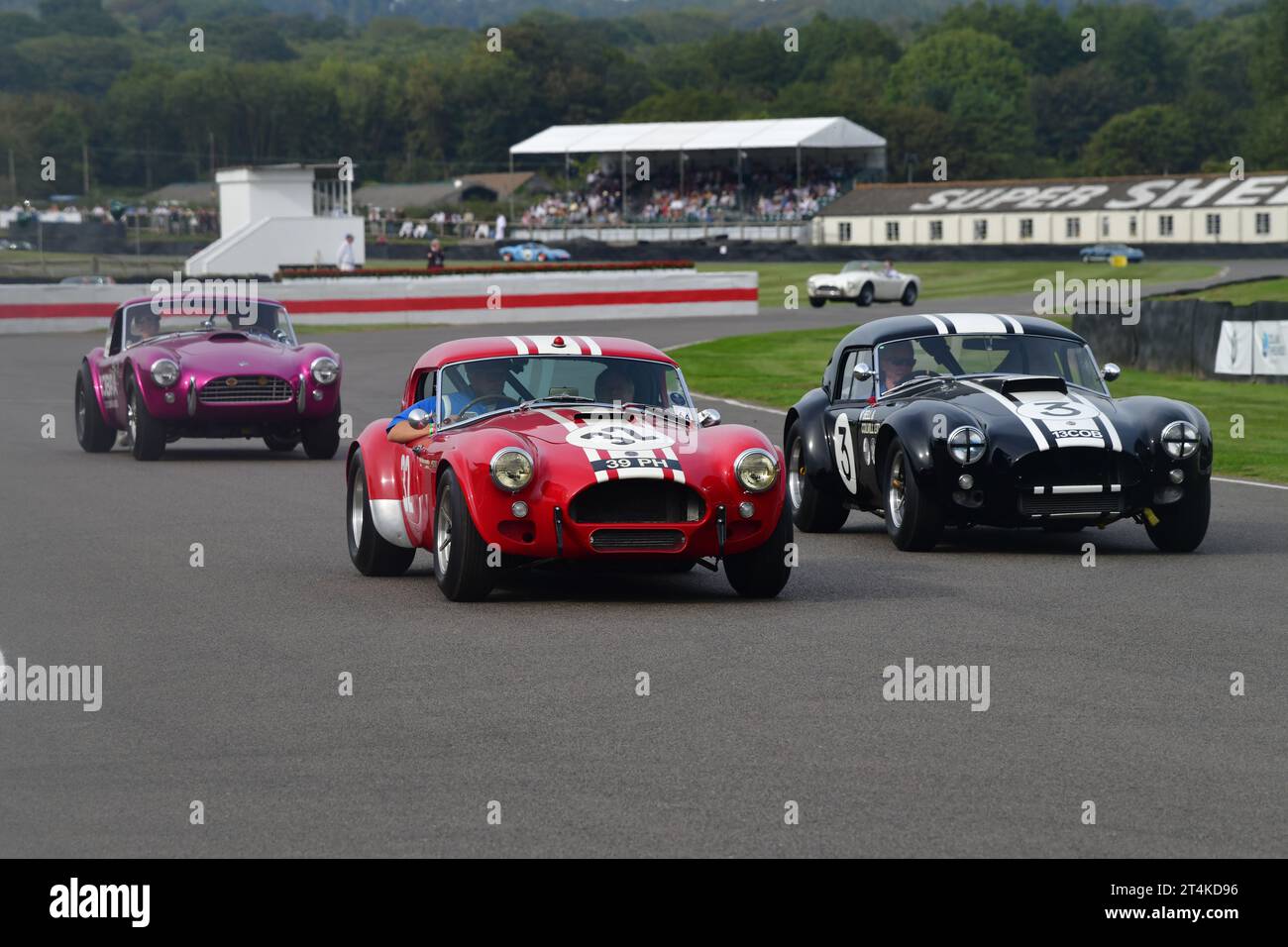 An intriguing pair of AC Cobras, 39 PH and 13 COB due to their joint