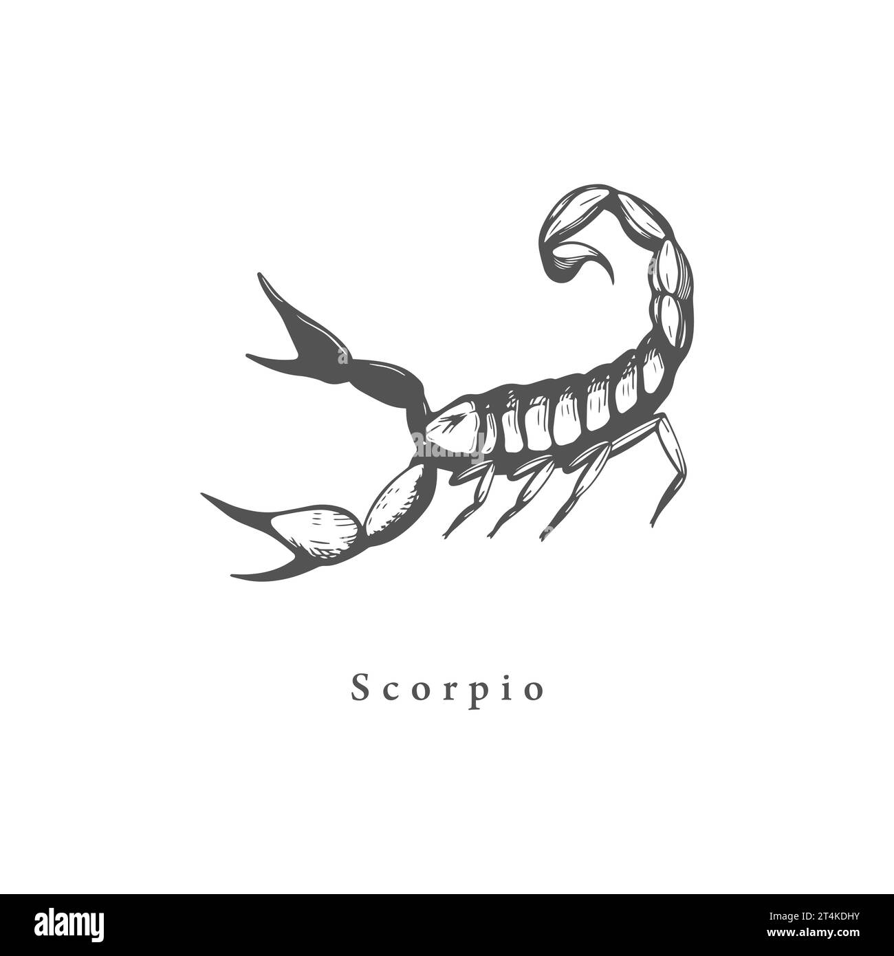 Scorpio Stock Vector Images Alamy