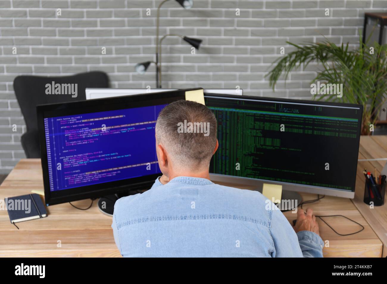 Mature male programmer working in office, back view Stock Photo