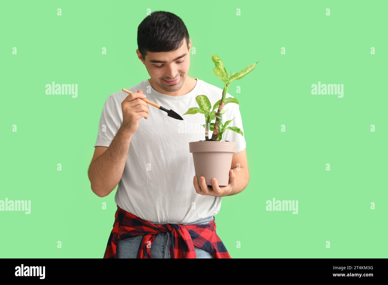 Young man with shovel and plant on green background Stock Photo - Alamy