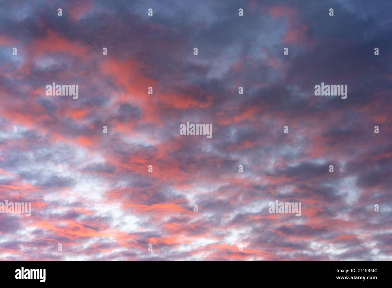 dramatic pink and purple cotton candy sky Stock Photo