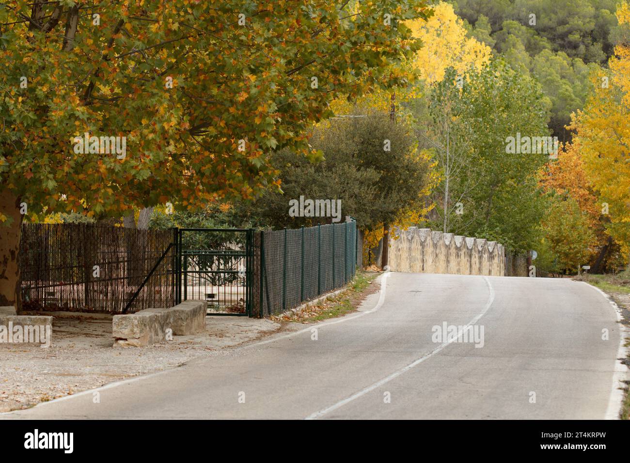 Alcoi preventory road in the Mariola mountain range with trees in autumn decoration, Spain Stock Photo