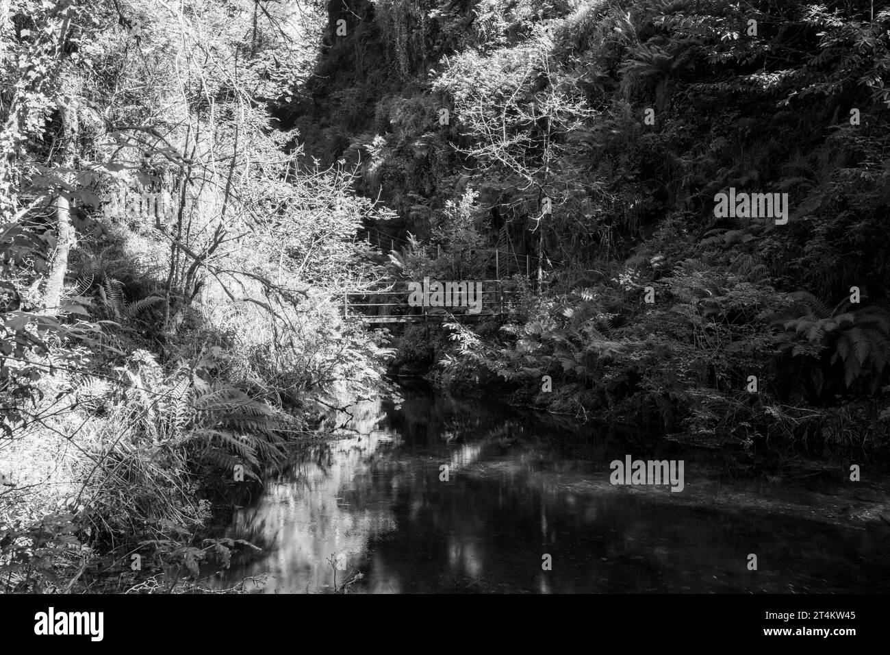 The river Lyd at Lyford in Devon Stock Photo Alamy