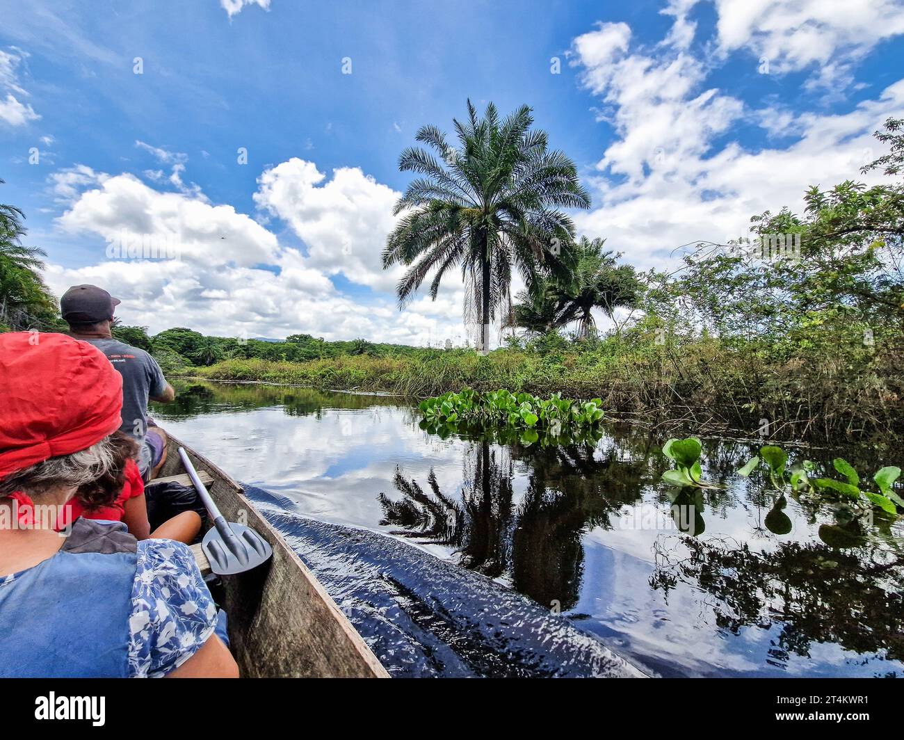 Canoe tour on the Pantanal Marimbus, waters of many rivers and abundant ...