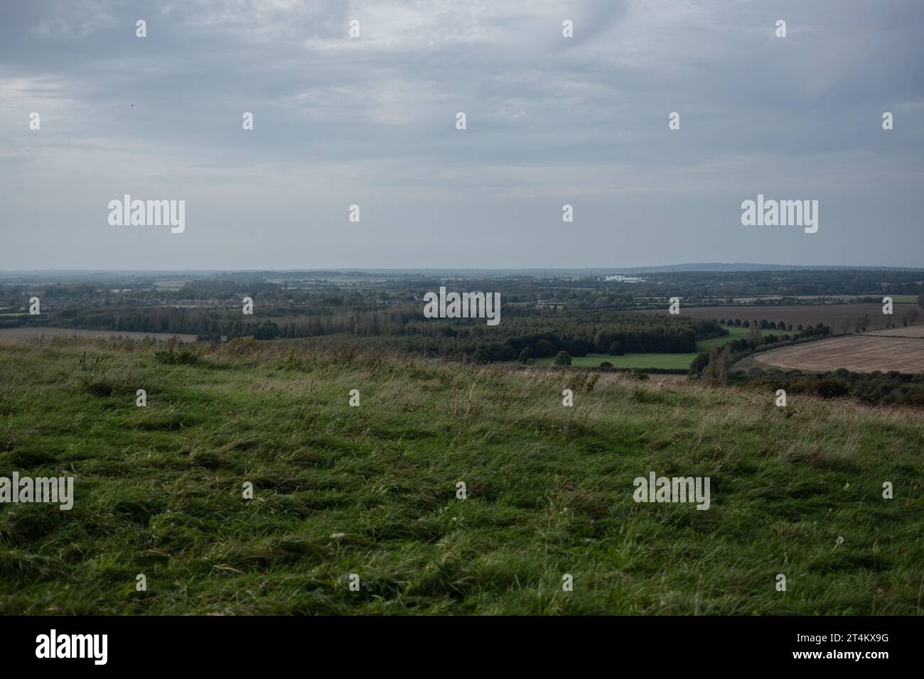 Views from Wittenham Clumps, Oxfordshire Stock Photo