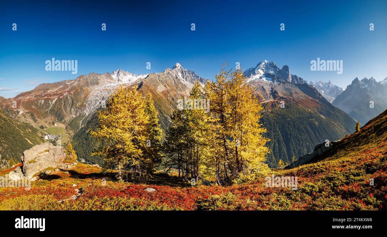 panoramic view of Argentiere and surroundings in autumn with larches Stock Photo