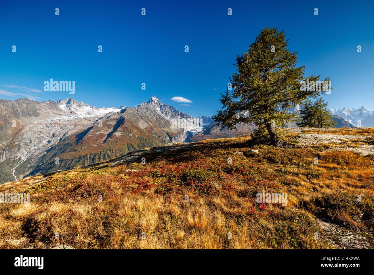 panoramic view of Argentiere and surroundings in autumn with larches Stock Photo