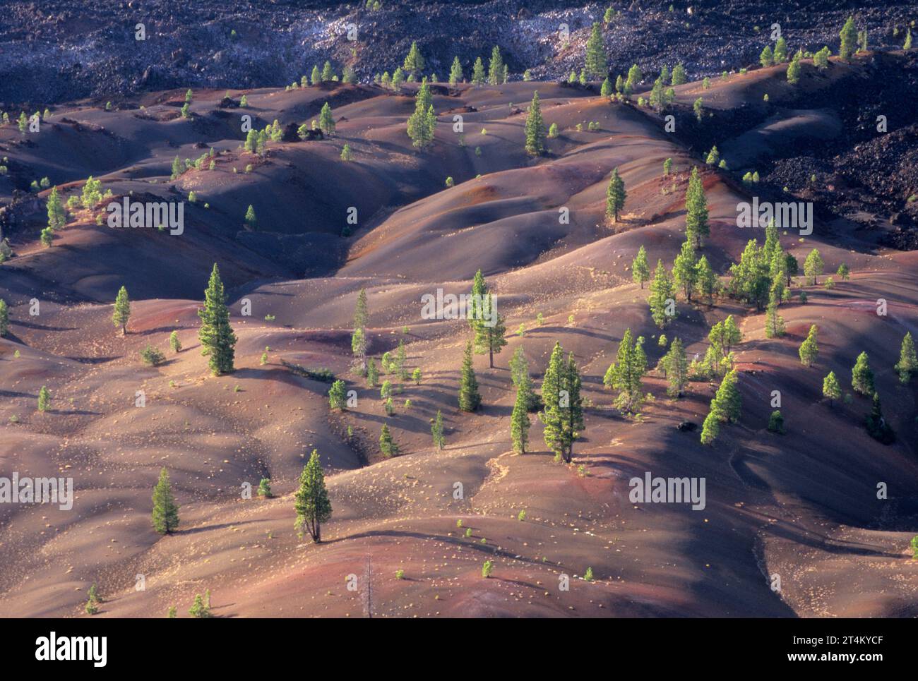 Fantastic Lava Flow from Cinder Cone, Lassen Volcanic National Park