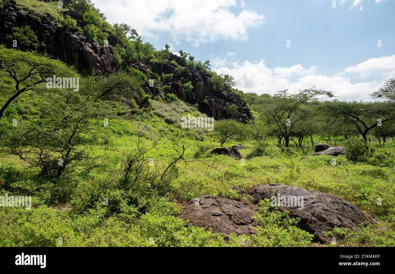 O Que E Rift Valley Rift cliffs hi-res stock photography and images - Alamy