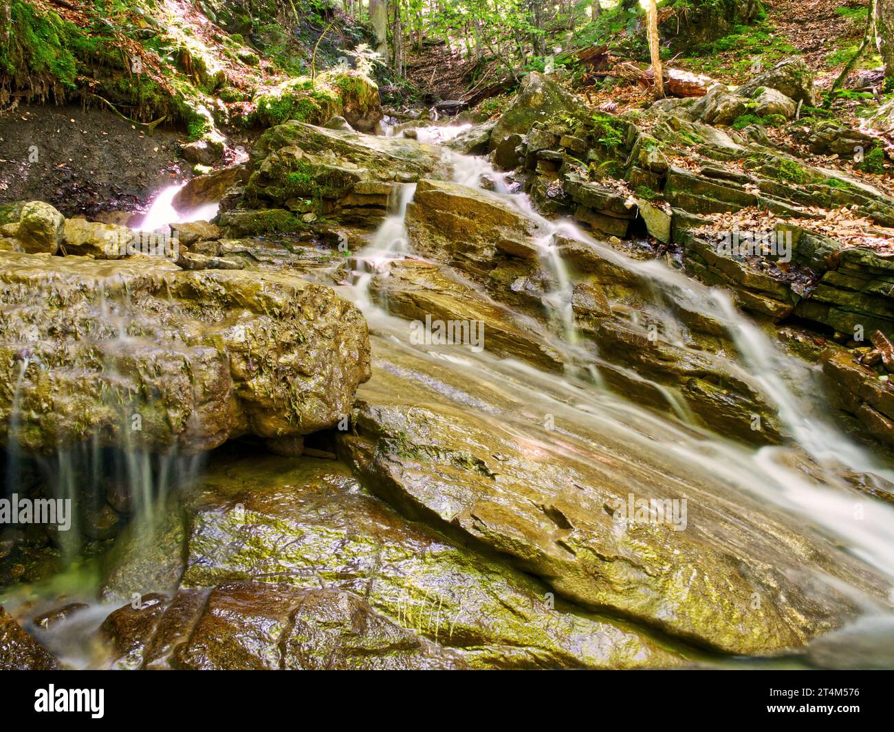 Water running down mountain forest hi-res stock photography and images ...