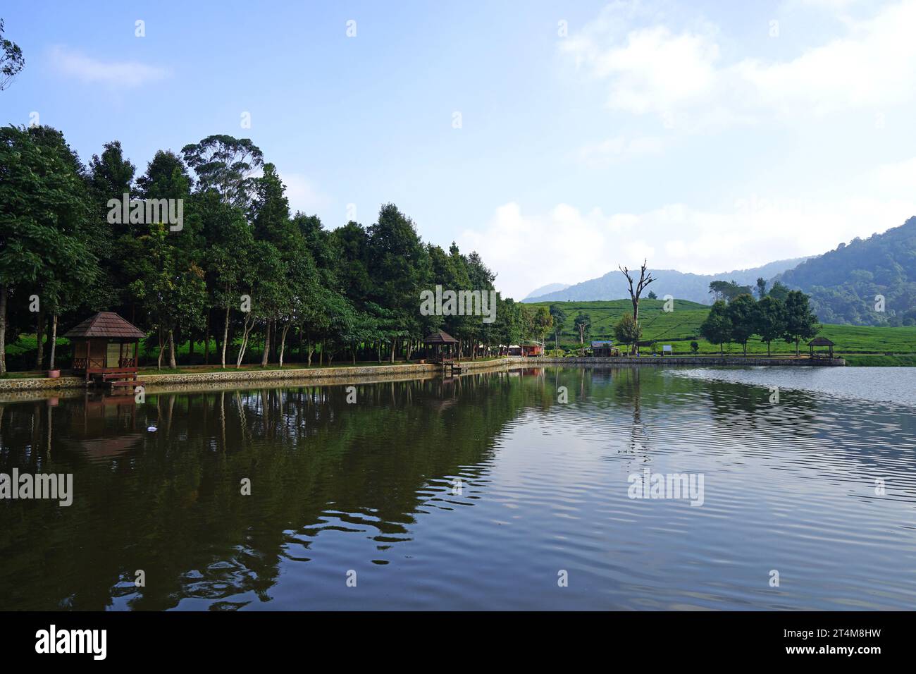 Lake Telaga Saat, Gunung Mas Tea Plantation, Puncak, Bogor, West Java ...
