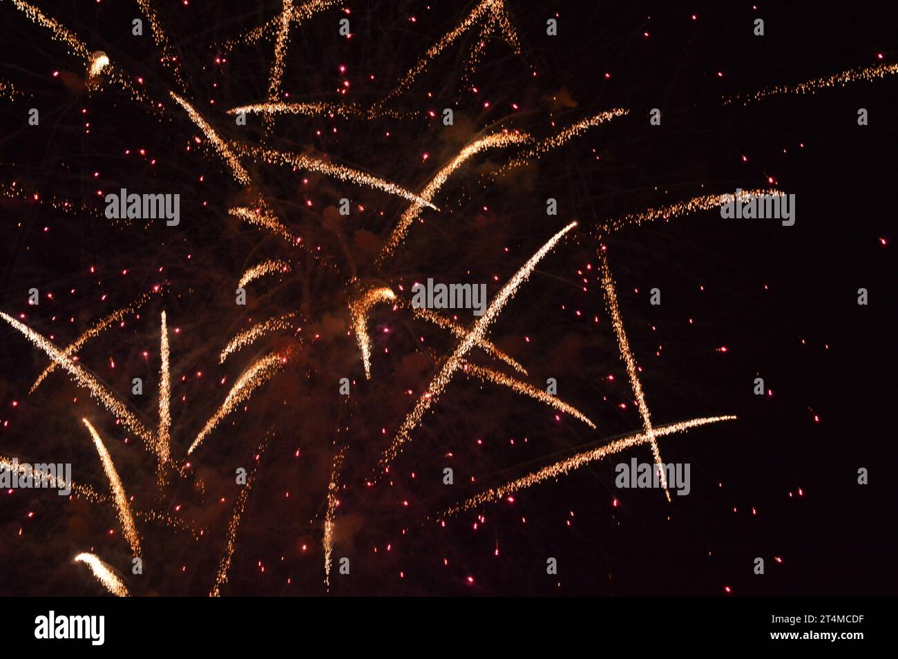 'Theatrical Firework Display' 'Spectacular Explosive Show' 'Nighttime Firework Bonanza' 'Firework Finale Fantasia' 'Blazing Nighttime Revelry' 'Aerial Stock Photo
