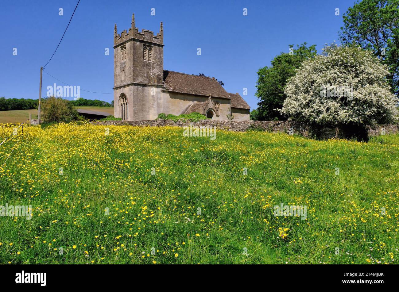 Slaughterford: St Nicholas church in field of yellow buttercups with blossom near Castle Combe, Cotswolds, Wiltshire, England, UK Stock Photo