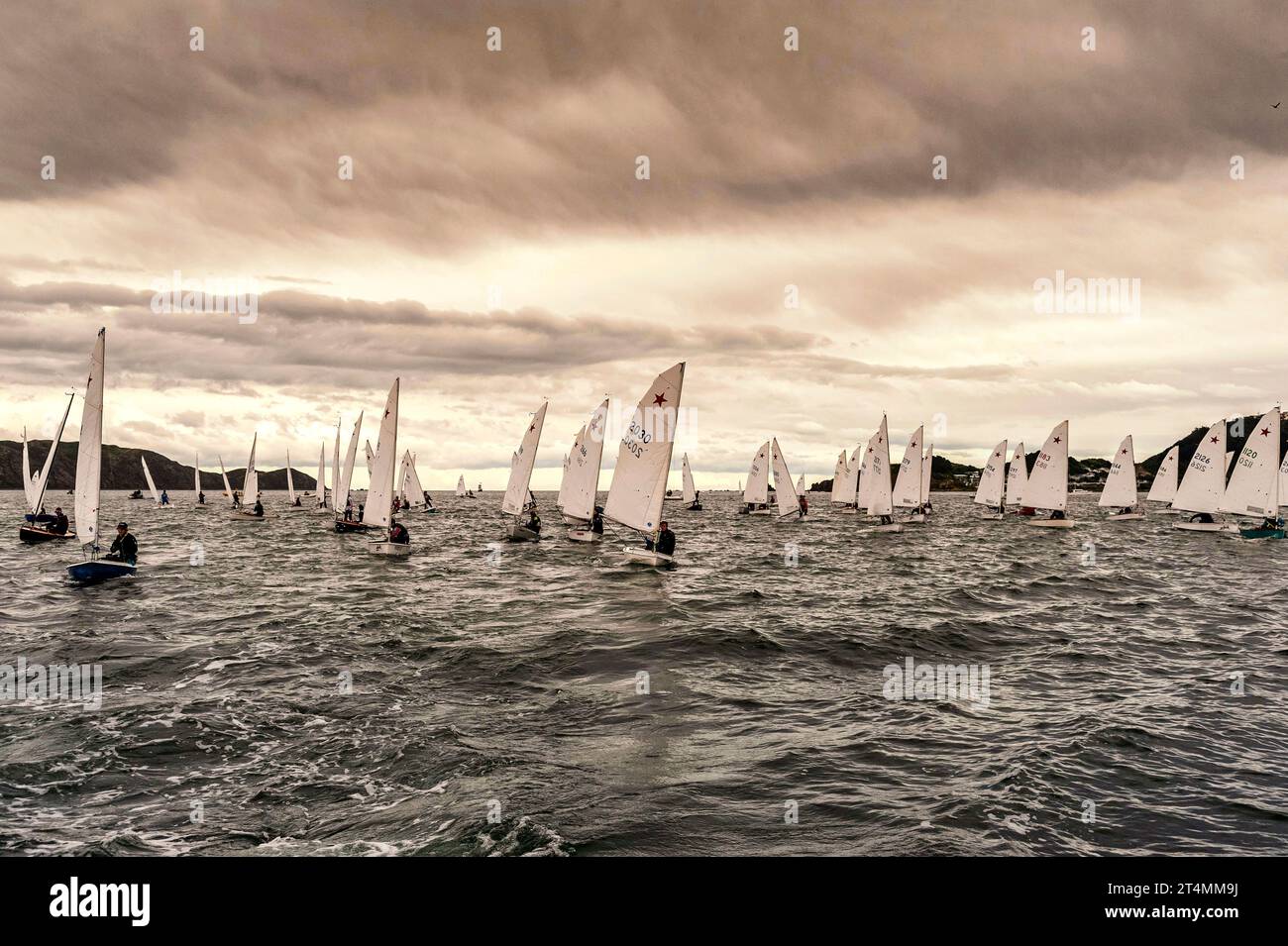 Starling class dinghy sailing hires stock photography and images Alamy
