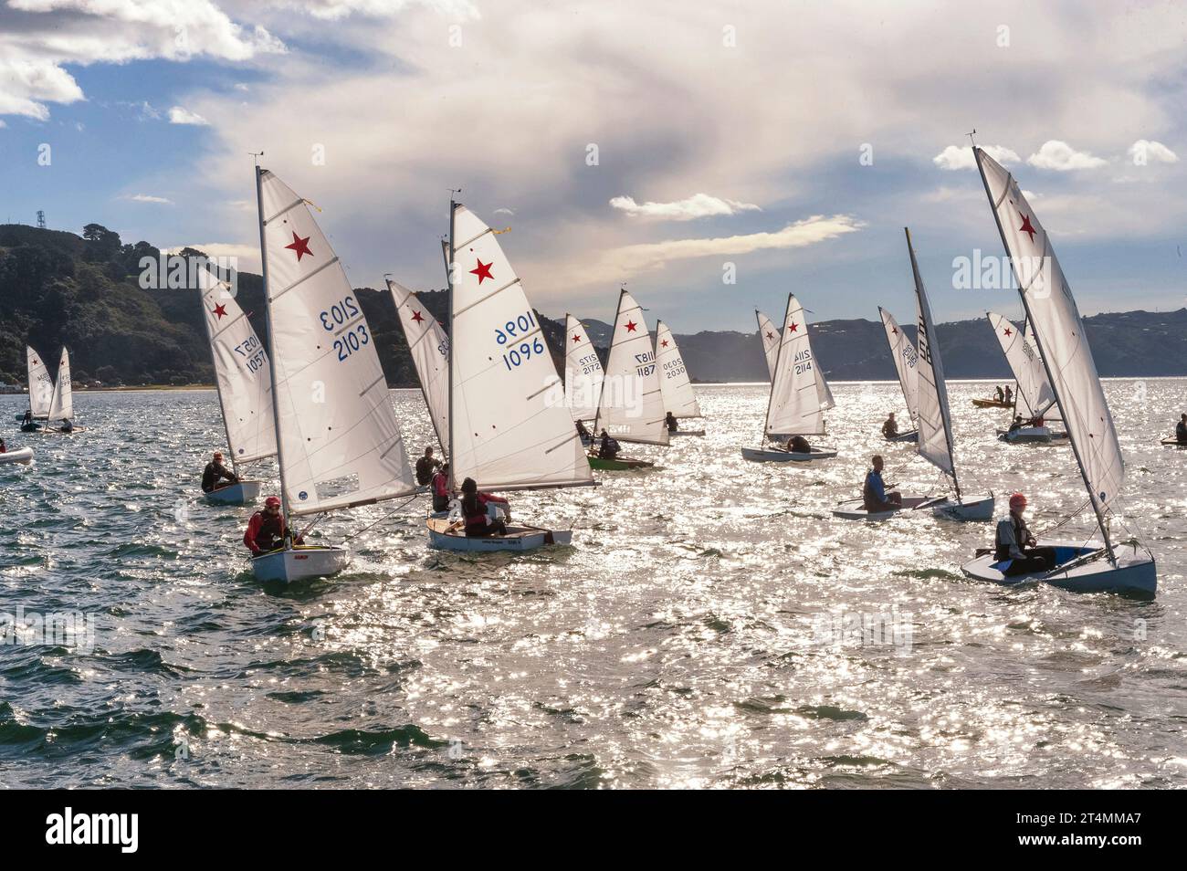 Starling class dinghy sailing hires stock photography and images Alamy