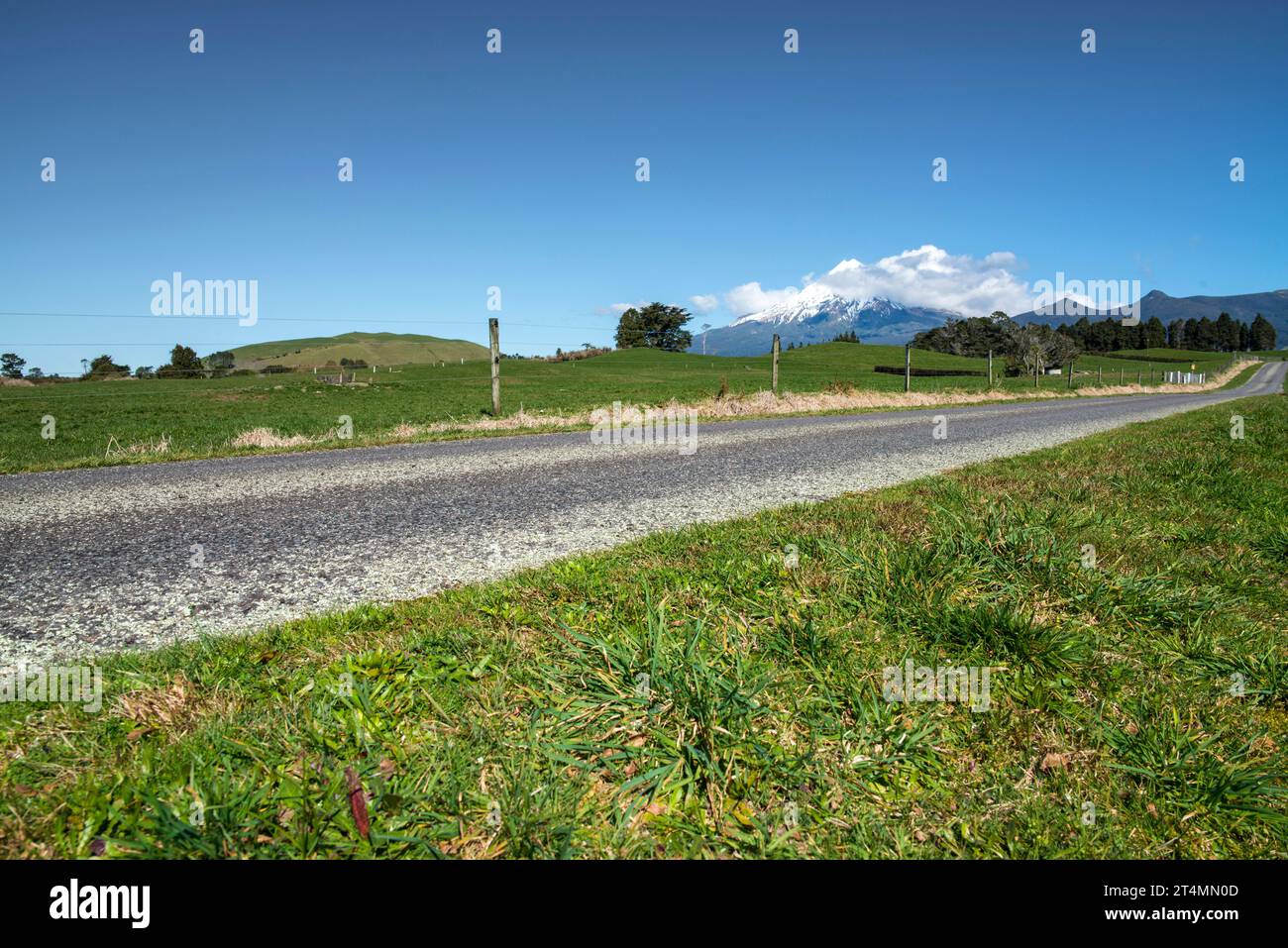 Rural backroad running through farm pasture land, Taranaki, New Zealand Stock Photo