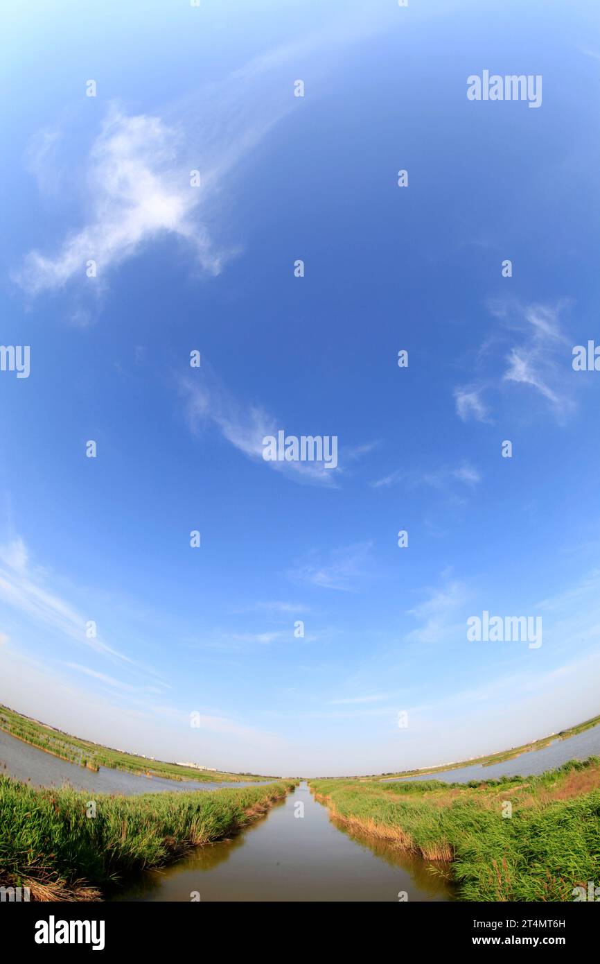 Wetland park scenery Stock Photo - Alamy