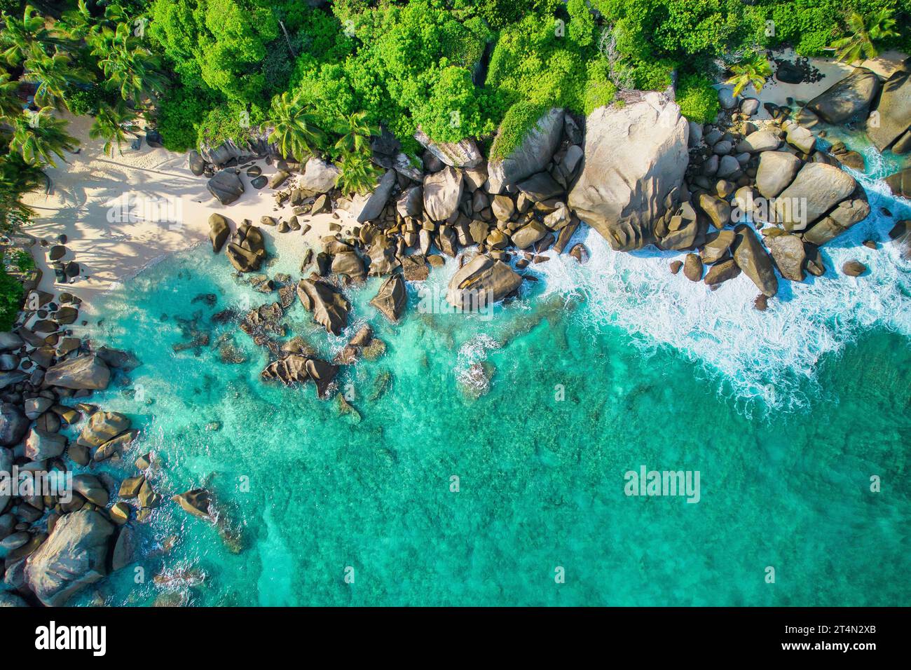 Seychelles north island bird hi-res stock photography and images - Alamy
