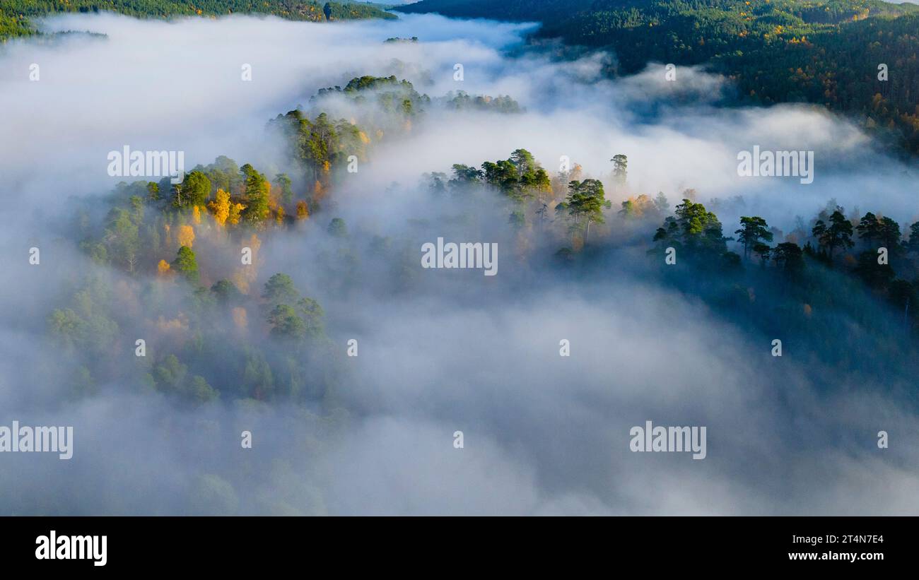 Aerial views of autumnal colours over Loch Beinn a Mheadhoin with early morning cloud inversion in Glen Affric, Highland Region, Scotland UK Stock Photo