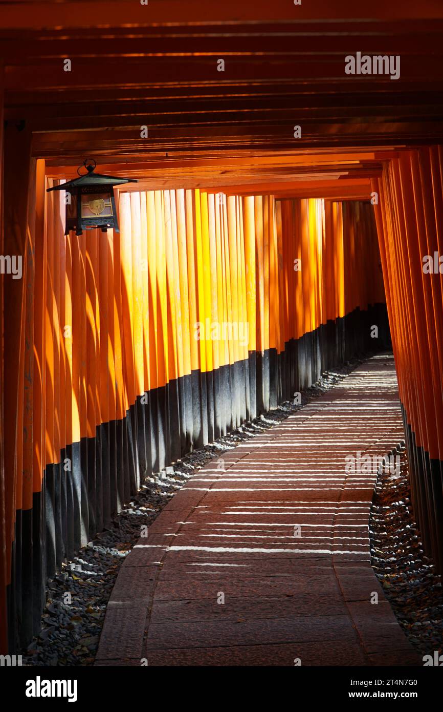 iconic torii gates at Fushimi Inari Shrine in Kyoto Stock Photo - Alamy