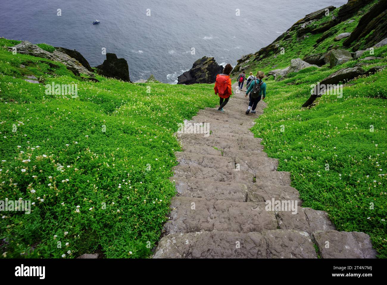 File:Steep steps at Skellig Michael 07.jpg - Wikimedia Commons