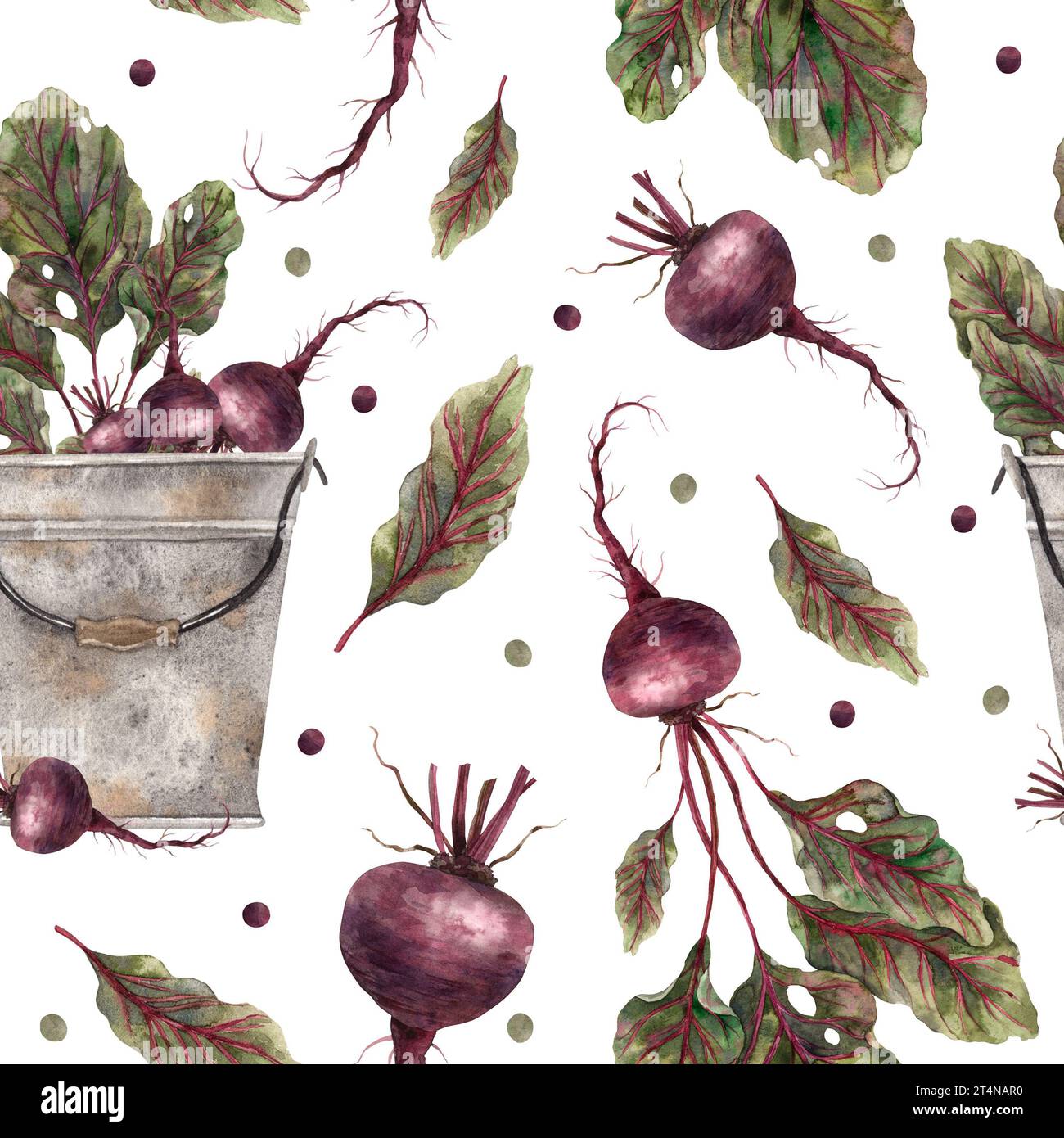 Watercolor pattern with beetroot, greenery and a rusty bucket. Hand-drawn botanical illustrations on an isolated background. It can be used in printin Stock Photo