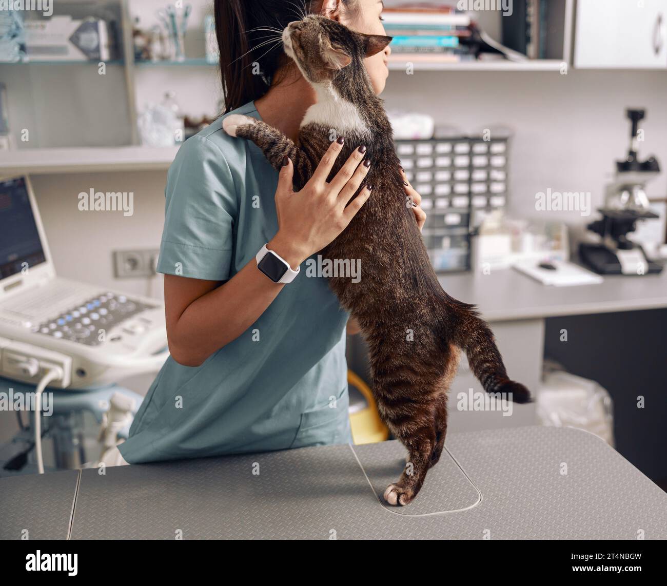Asian veterinarian in uniform hugs tabby cat at table in clinic office Stock Photo