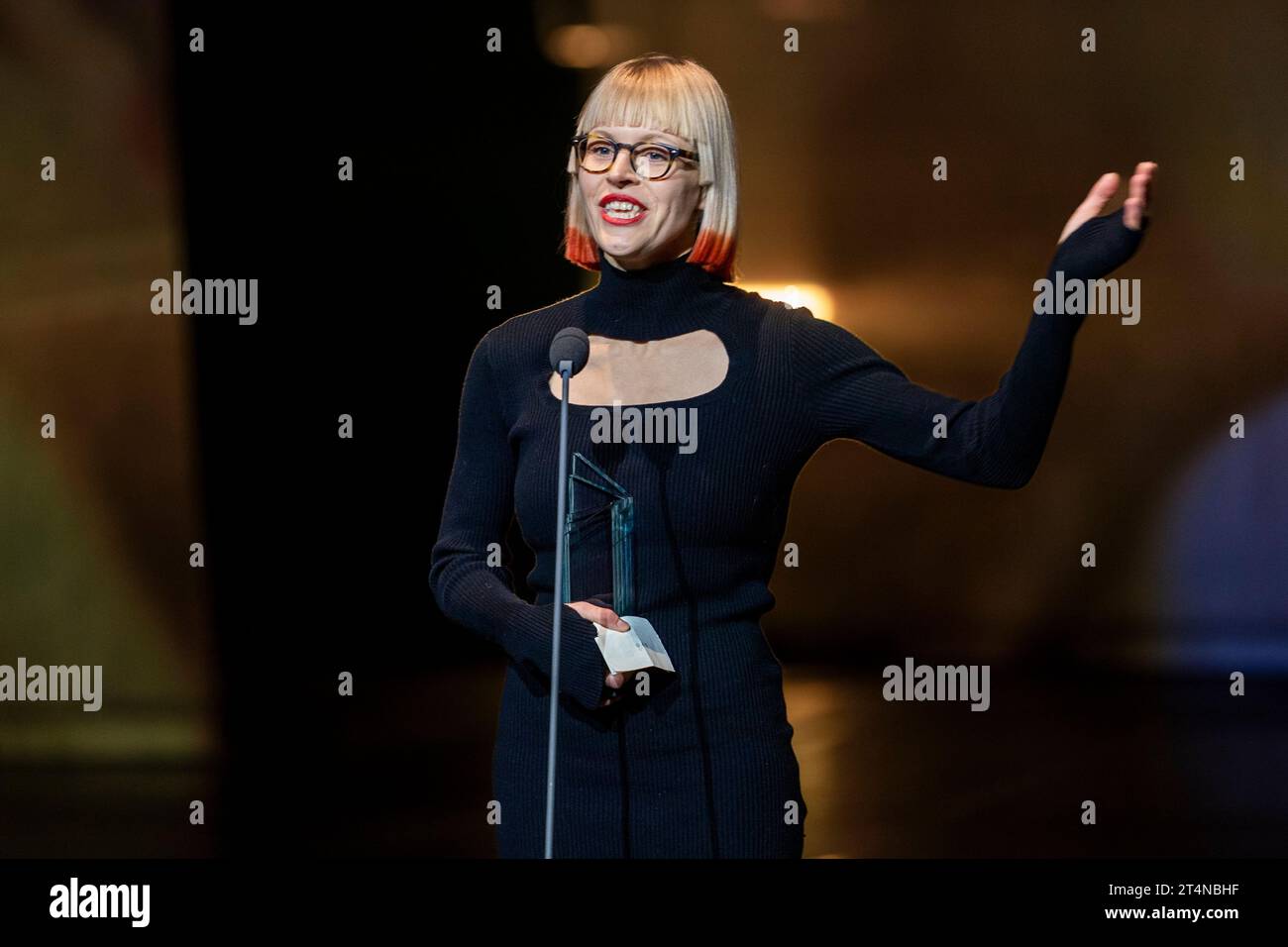 Youth council presentation hi-res stock photography and images - Alamy