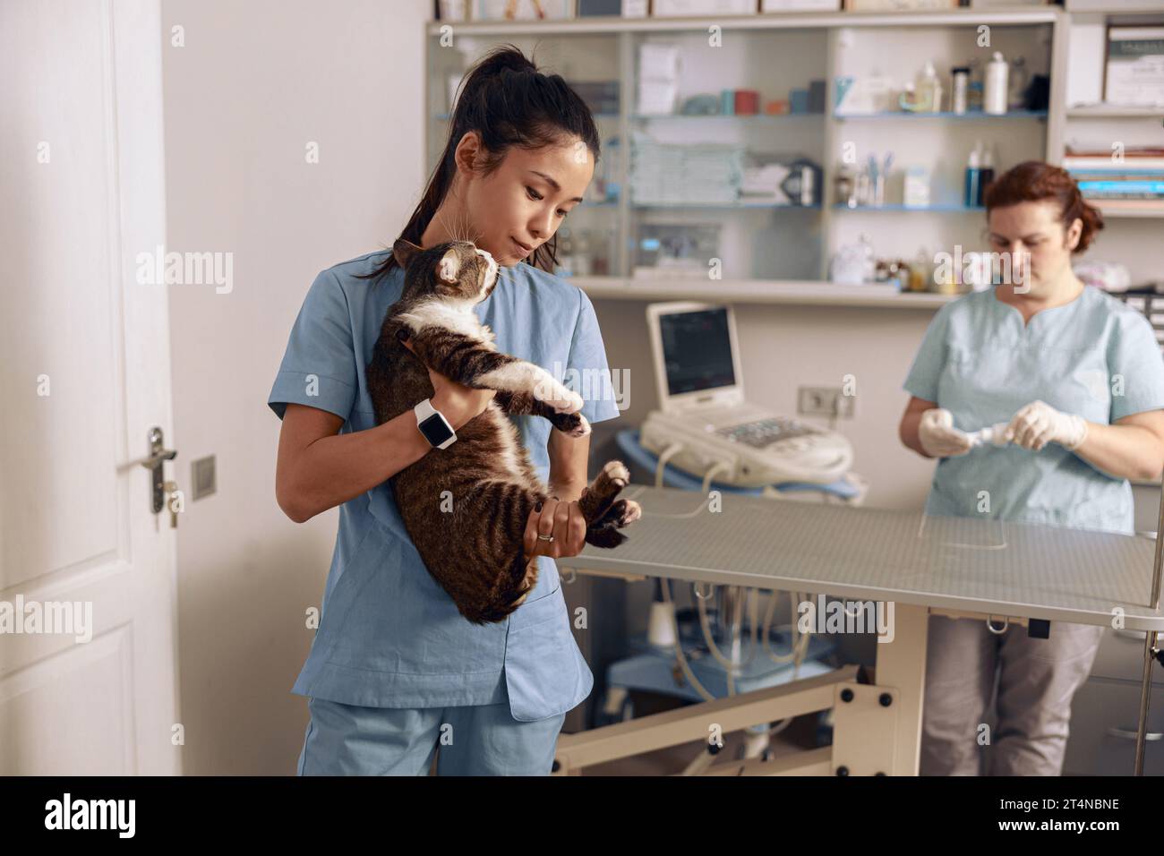 Careful Asian lady holds cute cat while colleague prepares ultrasound machine in clinic Stock Photo