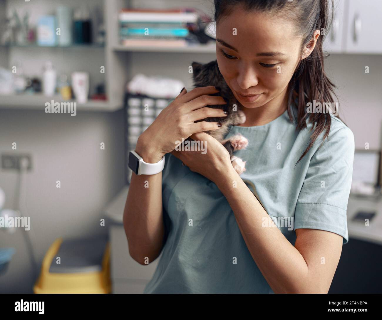 Asian lady veterinarian embraces adorable kitten in modern clinic office Stock Photo