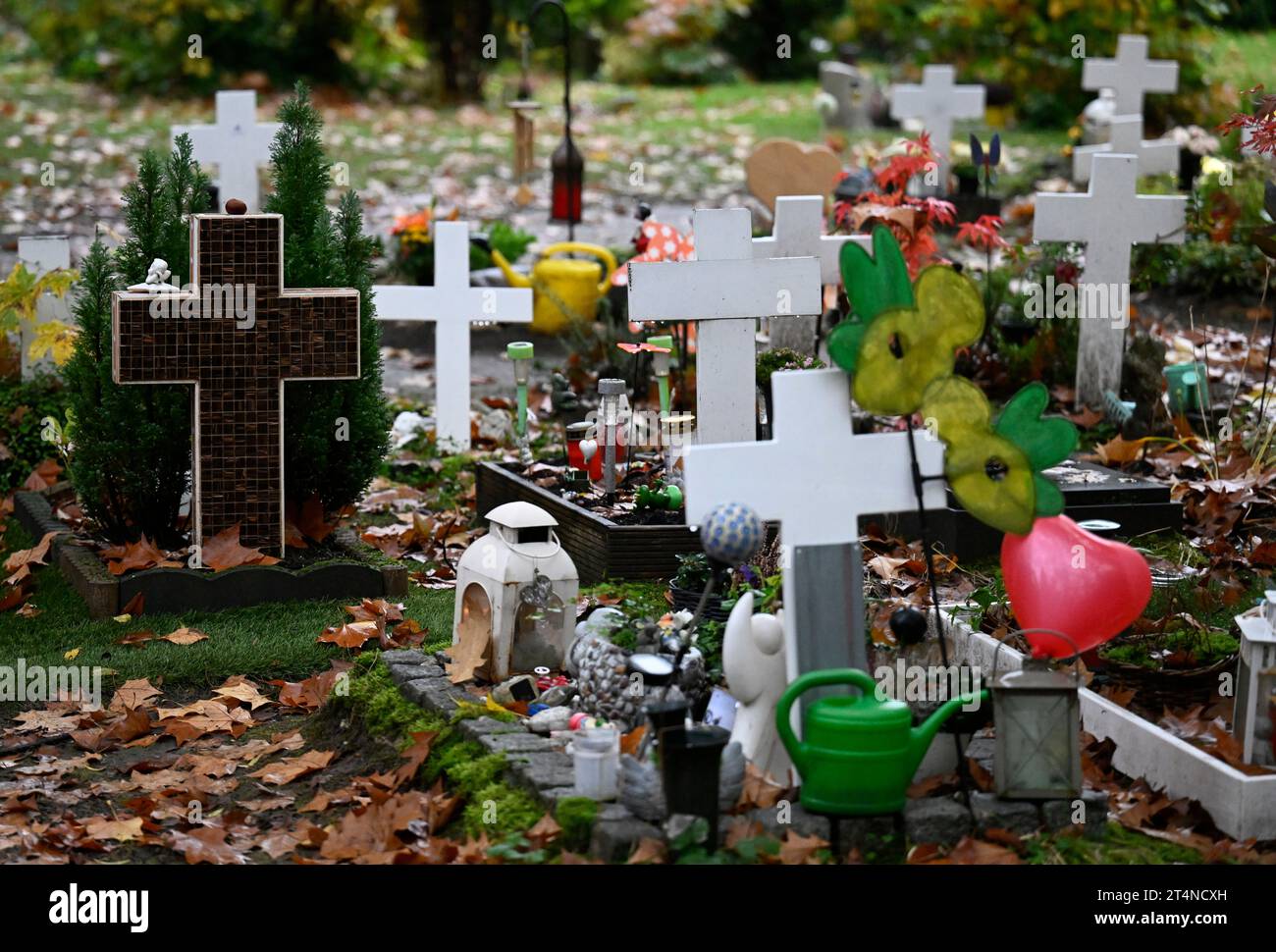 Cologne, Germany. 01st Nov, 2023. Grave crosses stand on graves at Melaten Cemetery on All Saints' Day. Catholics commemorate their deceased on this holiday. Credit: Roberto Pfeil/dpa/Alamy Live News Stock Photo