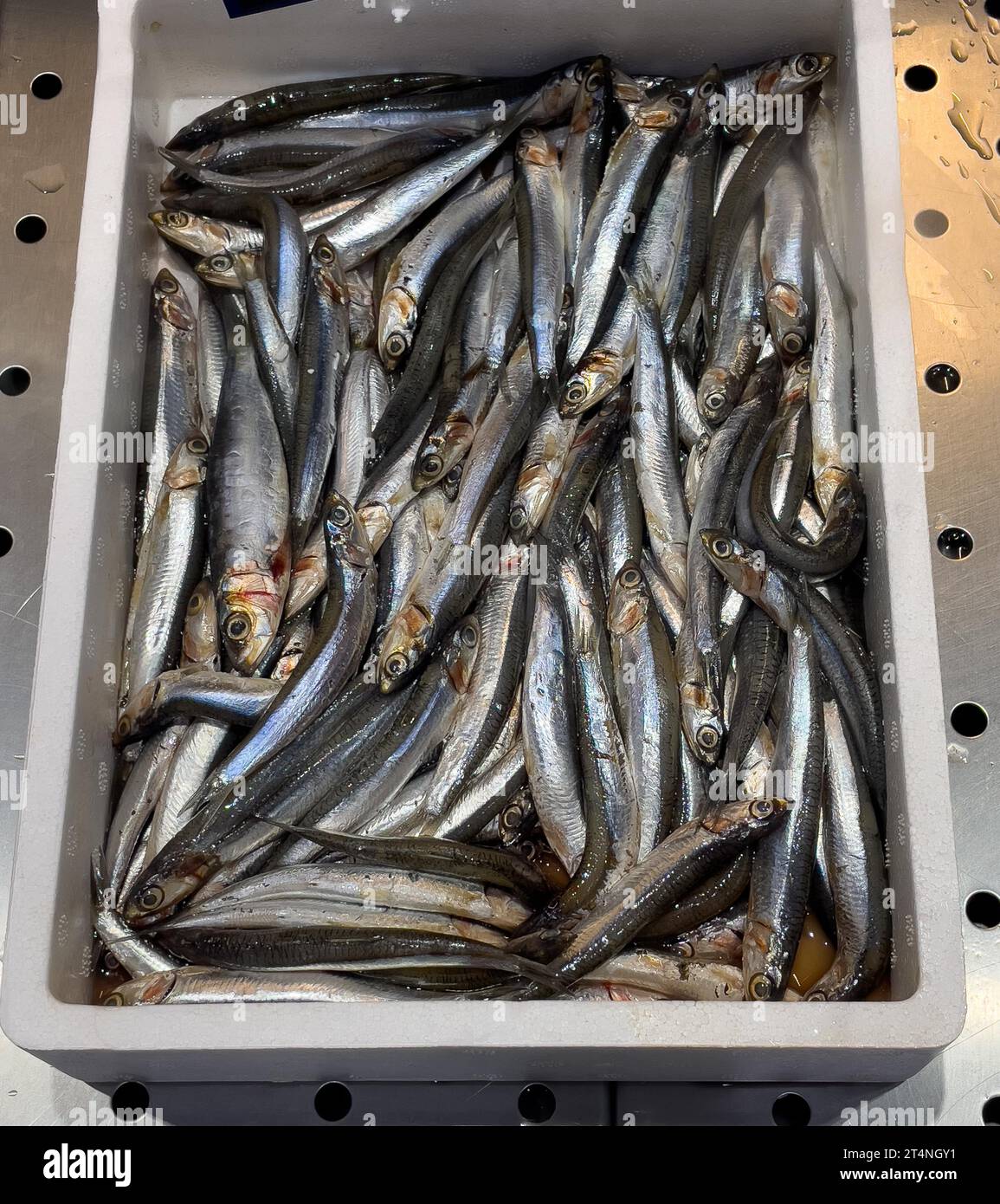 Wholesalebony fish hires stock photography and images Alamy