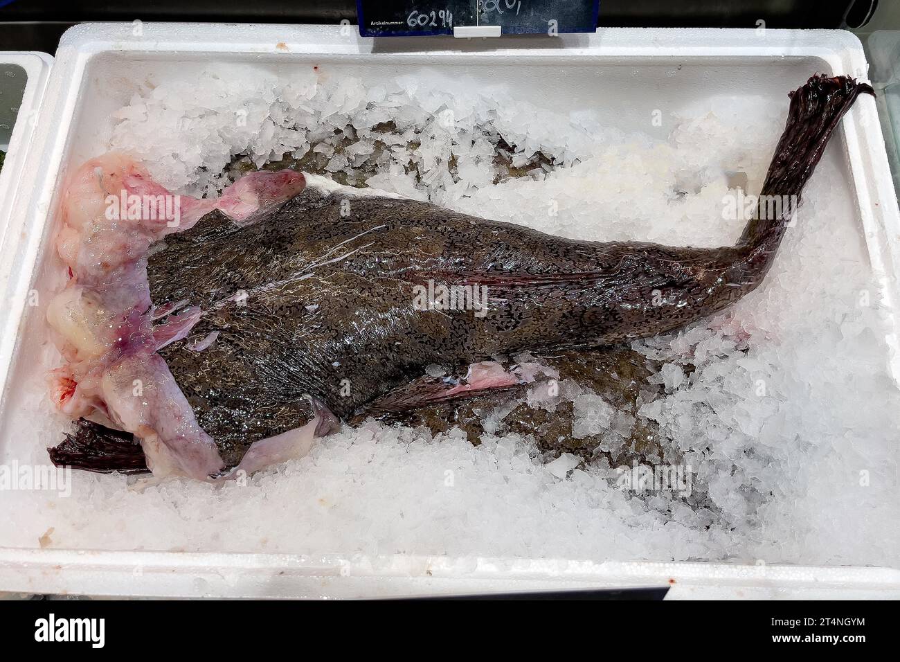 Display of fish caught fish tail body of monkfish (Lophius piscatorius) without head on ice in refrigerated counter fish counter of fishmonger fish Stock Photo