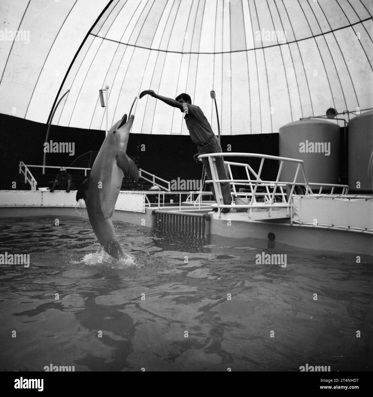 DEU, Germany: The historical colour photos from the 70s show events and