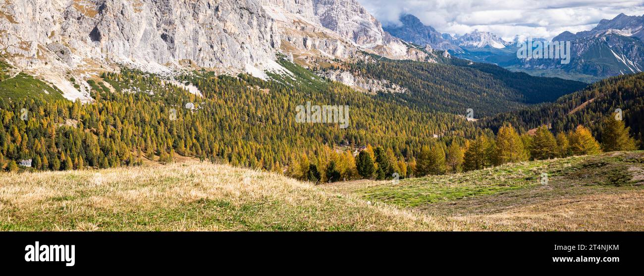 Majestic view of mountain slopes covered with larch trees in autumn foliage Stock Photo