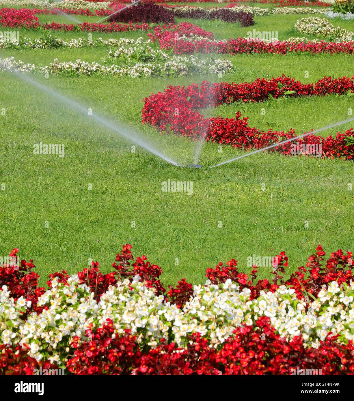 Automatic irrigation system of the flower garden with wellkept