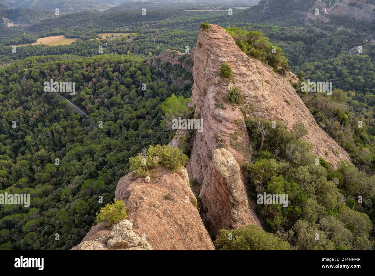 Sedimentary rocks and forest seen from the Salt de la Minyona viewpoint (Osona, Barcelona, Catalonia, Spain) ESP: Rocas sedimentarias y bosque Stock Photo