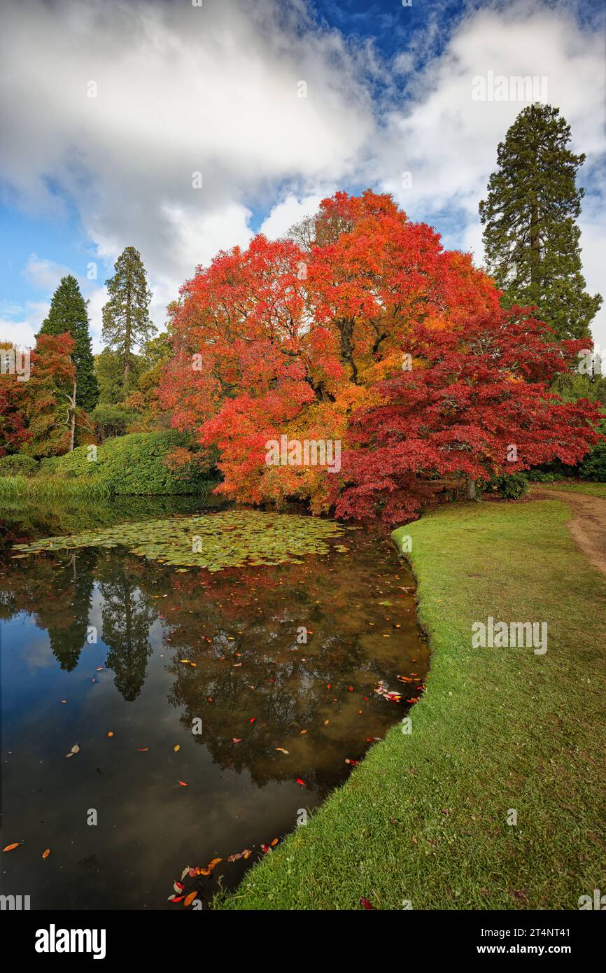 Autumn Colours of an English Park Stock Photo
