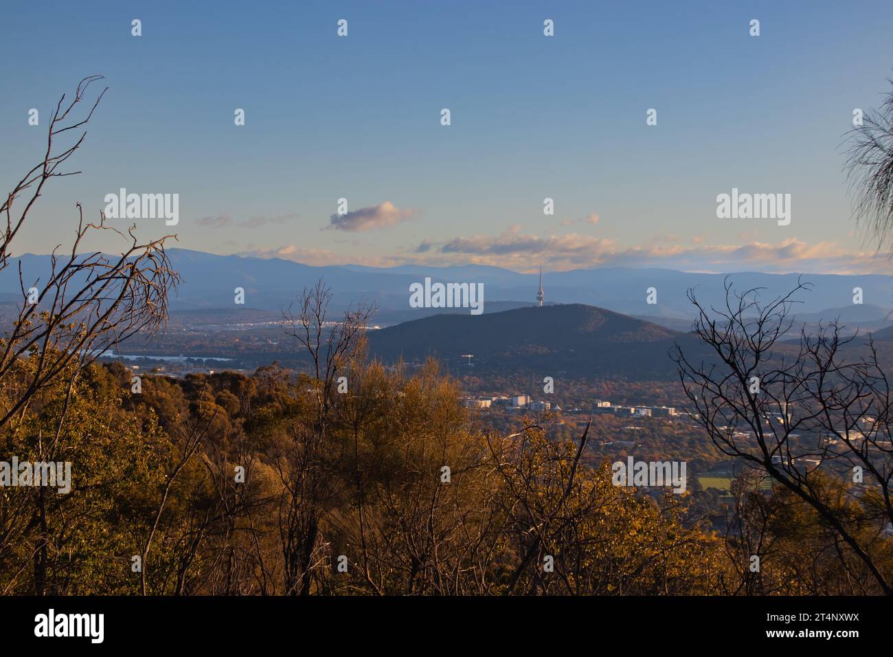 View of Canberra City and Black Mountain from Mount Majura Stock Photo