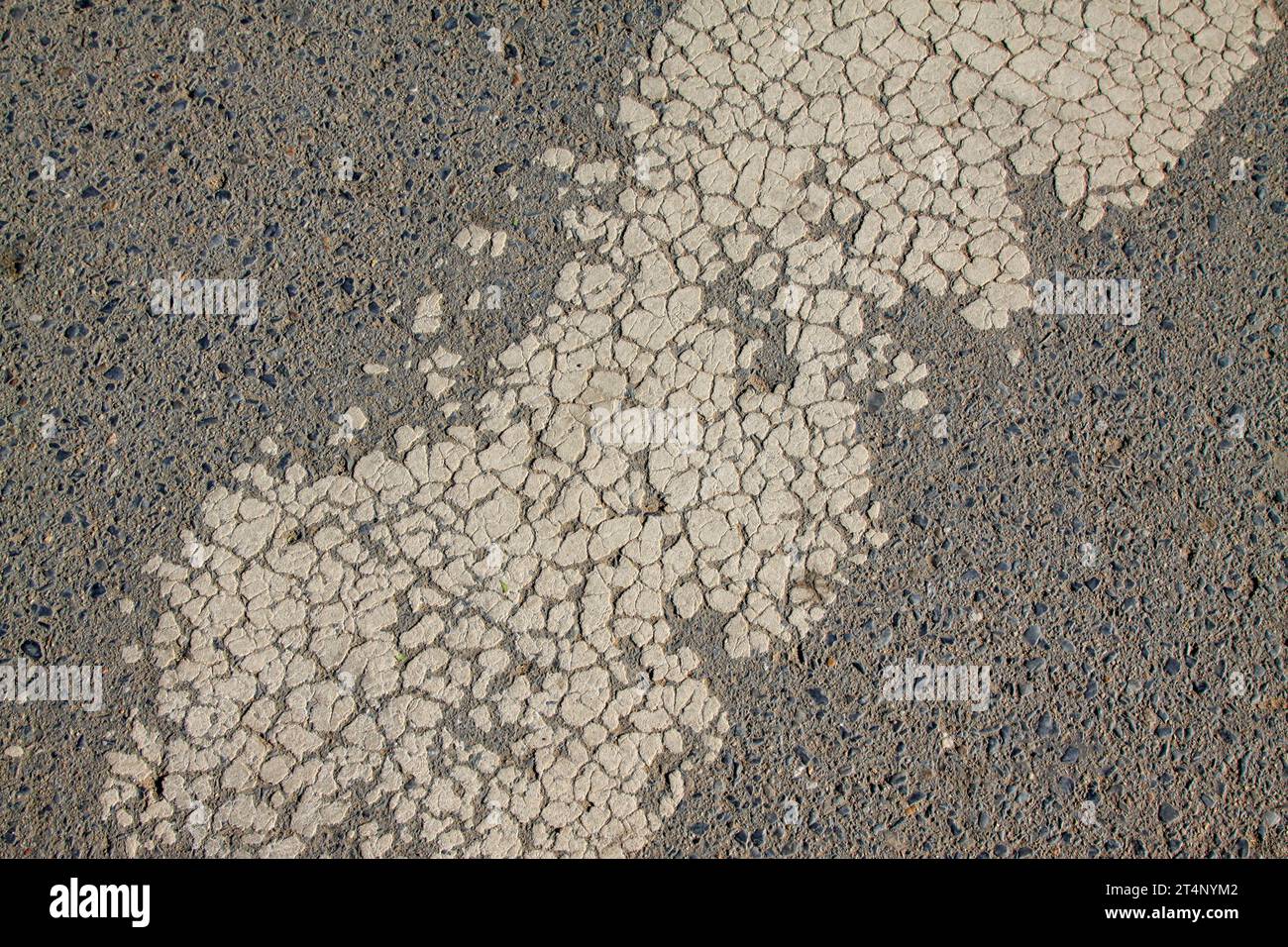 Mottled reticular trace on the asphalt road Stock Photo