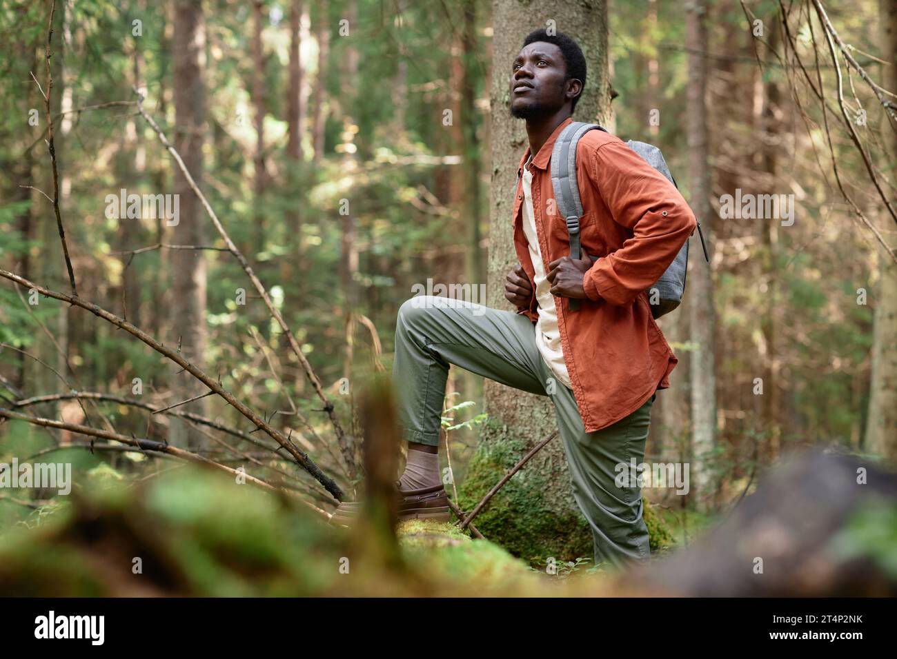 African American man with backpack hiking in the forest and exploring ...