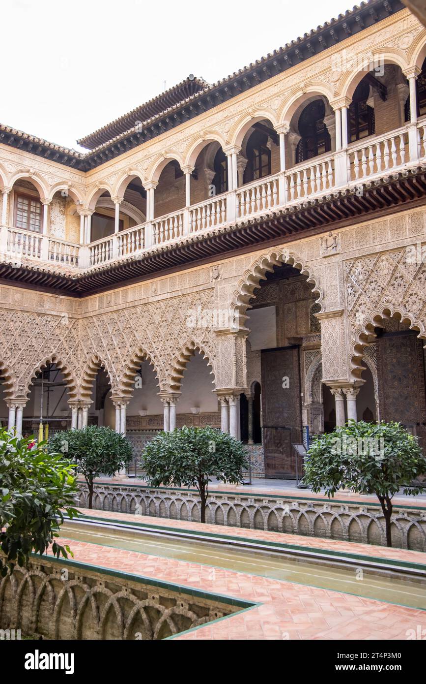 one of the great royal palaces in spain the real alcazar in seville ...