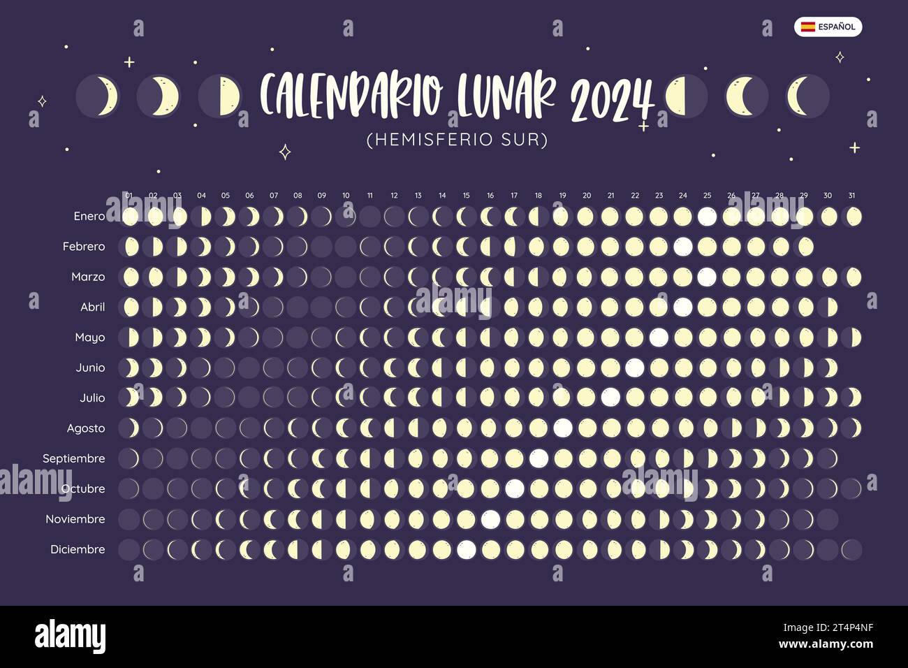 2024 Calendar. Moon phases foreseen from Southern Hemisphere. Spanish Text. Year view calendar. EPS Vector. No editable text. Stock Vector