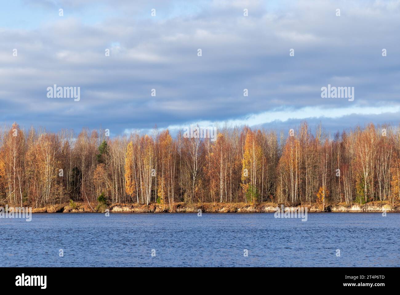 Svir river coastal landscape on a sunny autumn day. Lodeynopolsky district, Leningrad Oblast, Russia Stock Photo