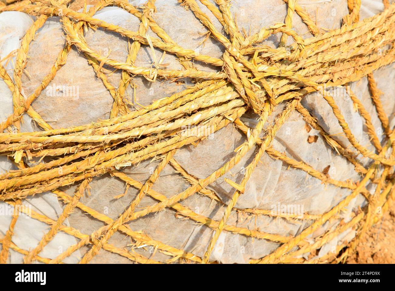 rope wrapped around the plastic Stock Photo - Alamy