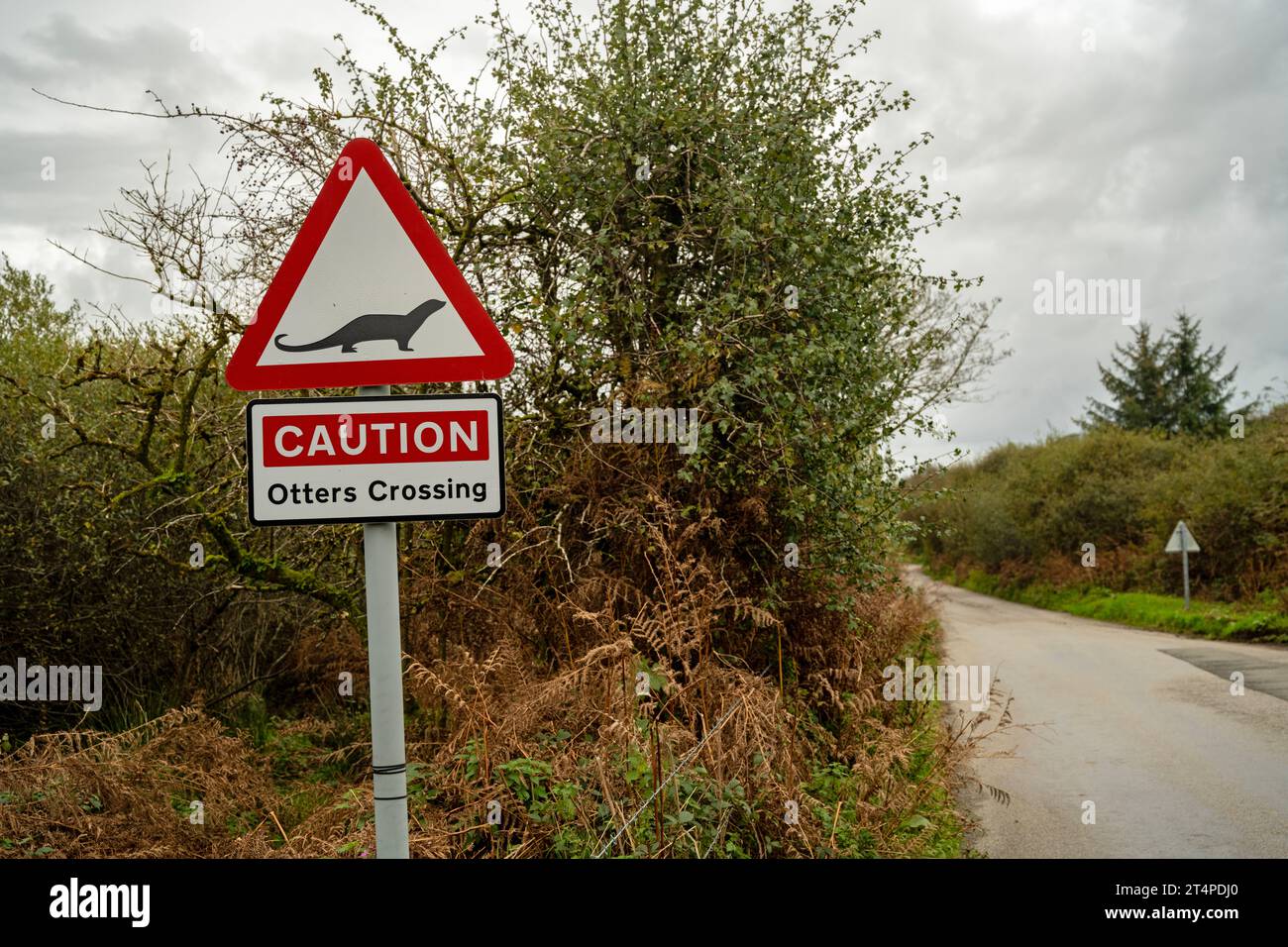 Otter Crossing sign, Bodmin Moor, Cornwall, UK Stock Photo
