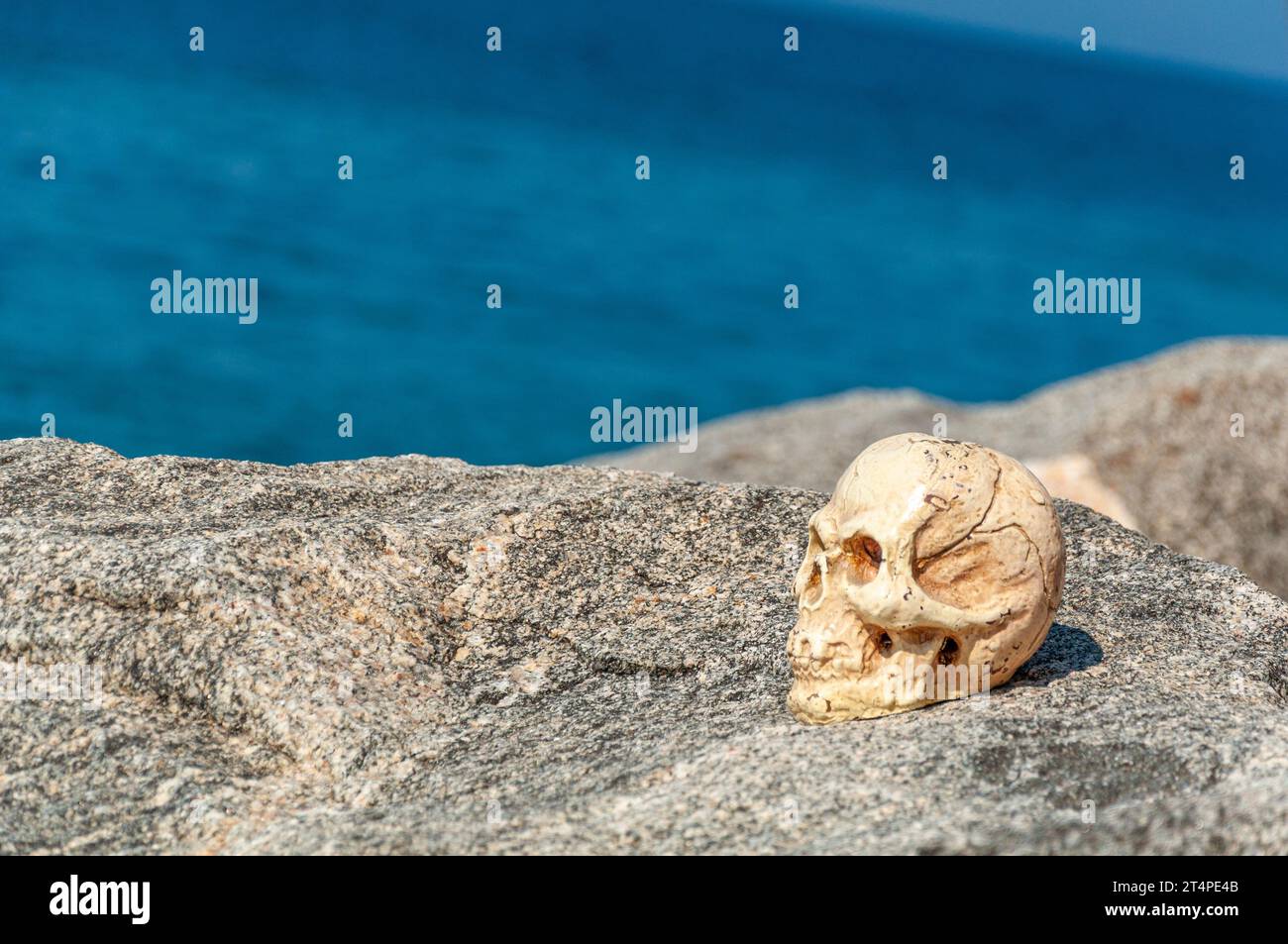 Fake skull on a rock by the sea Stock Photo