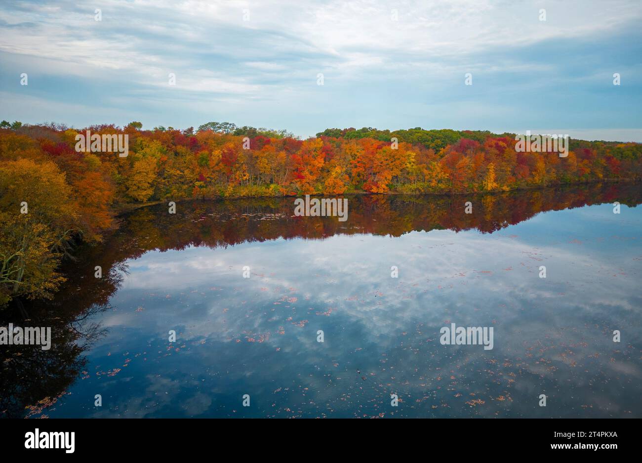 Looking down from a drone at the the colorful leaves on the trees surrounding Southards Pond in Babylon Village Long Island New York. Stock Photo